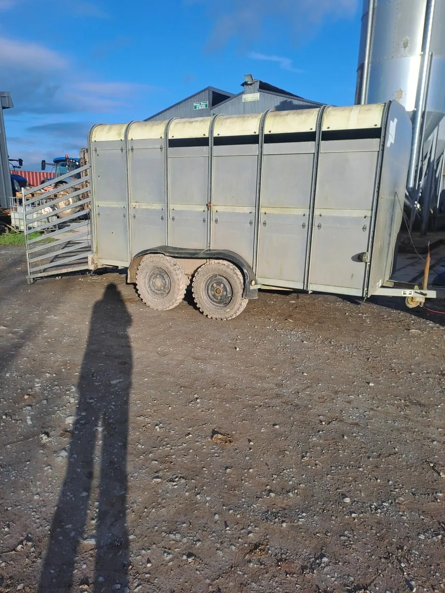 Ivor Williams 12ft cattle trailer - Image 2