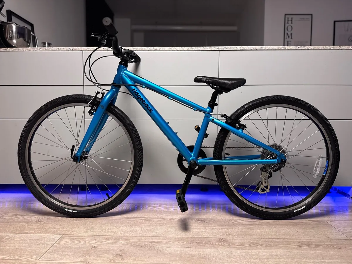 Ridgeback Dimension Junior Bike 24 inch - Image 2