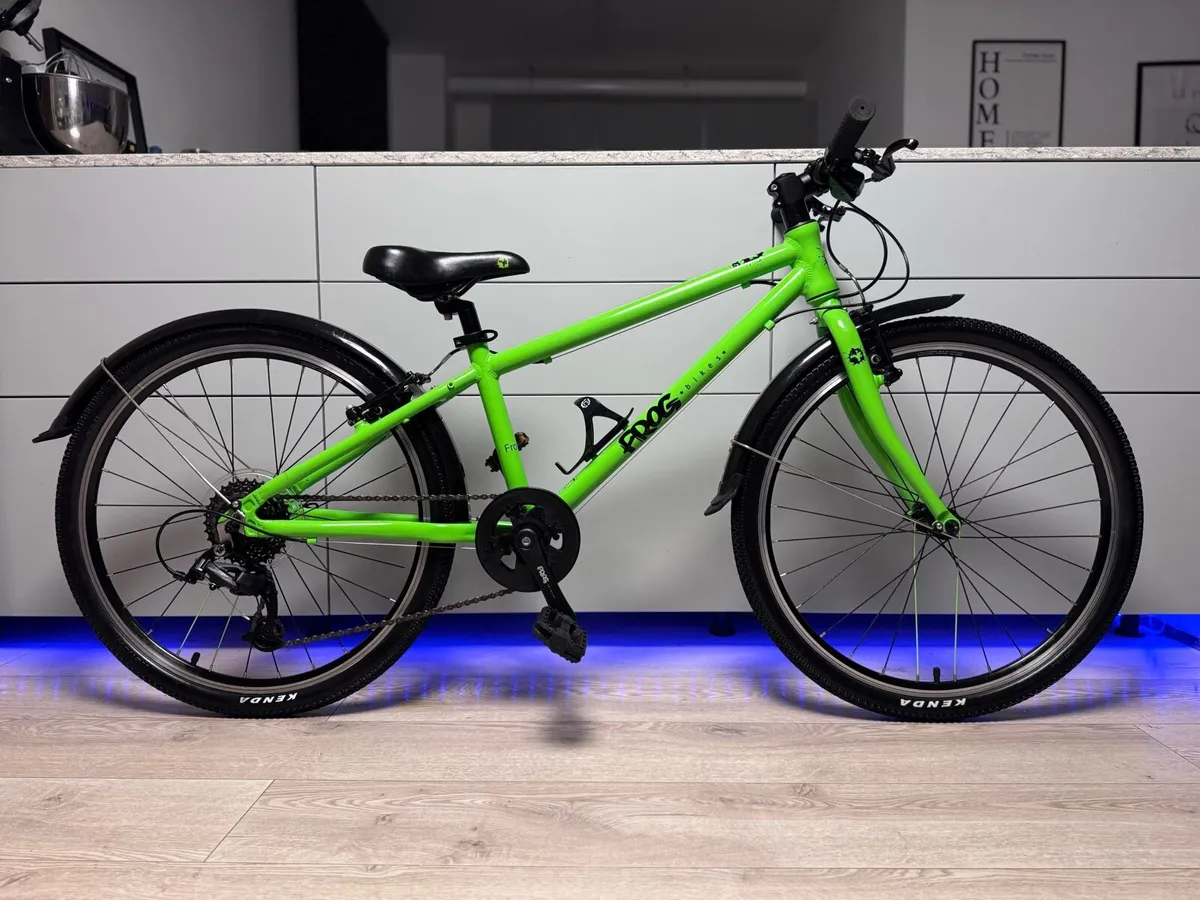 FROG 62 Junior Bike 24 inch - Image 1