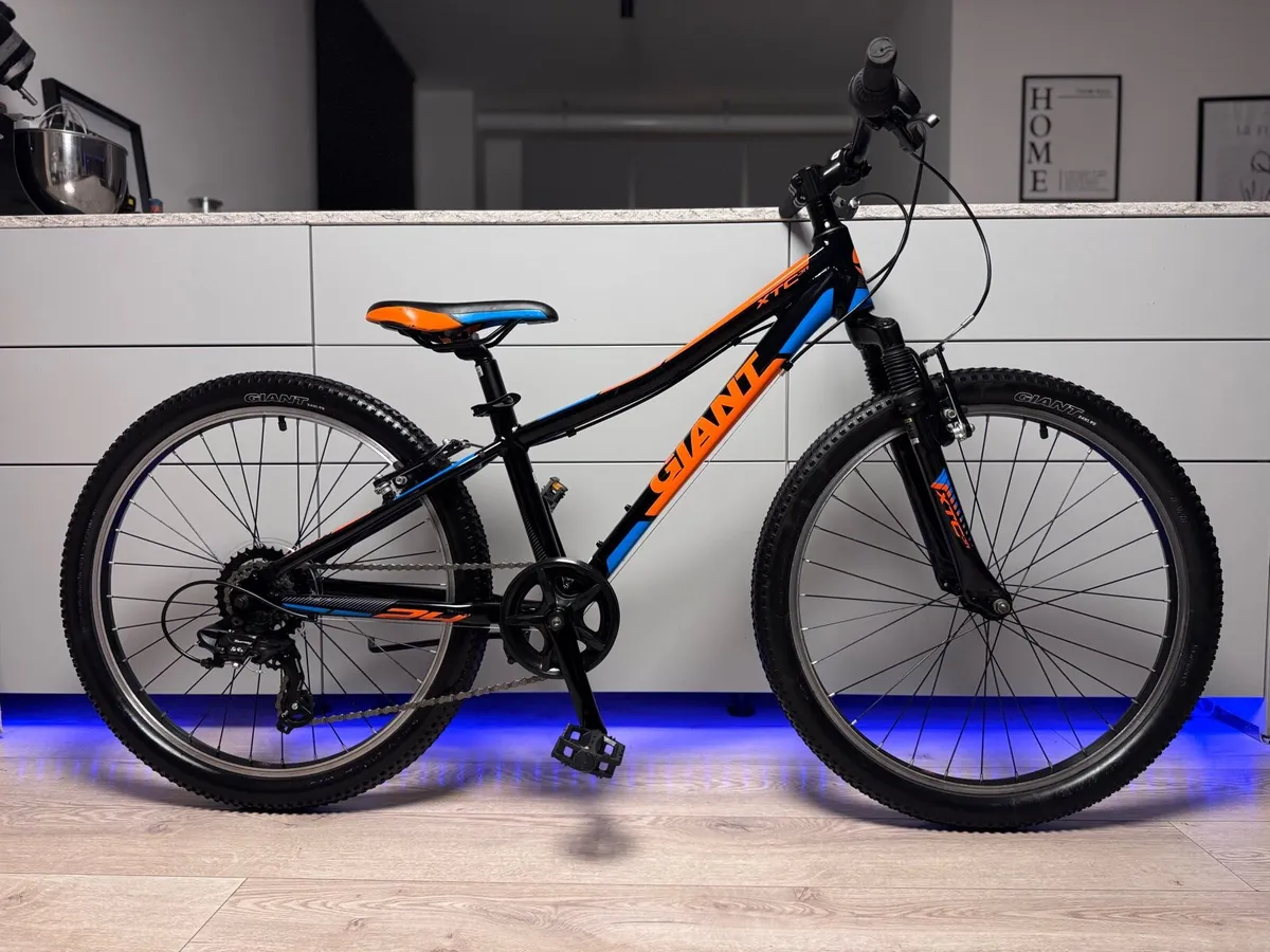 GIANT XTC Junior Bike 24 inch - Image 1