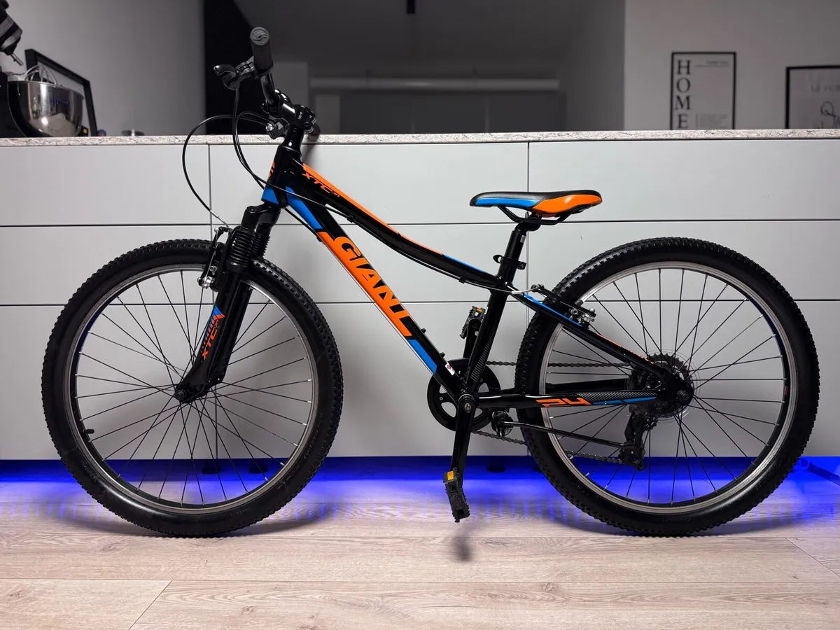 GIANT XTC Junior Bike 24 inch - Image 2