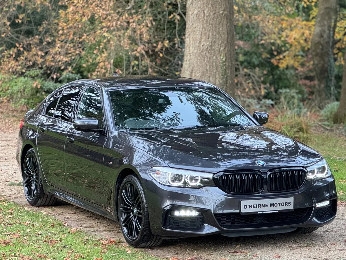 520D MSPORT PLUS *COMFORT PACK * - Image 2