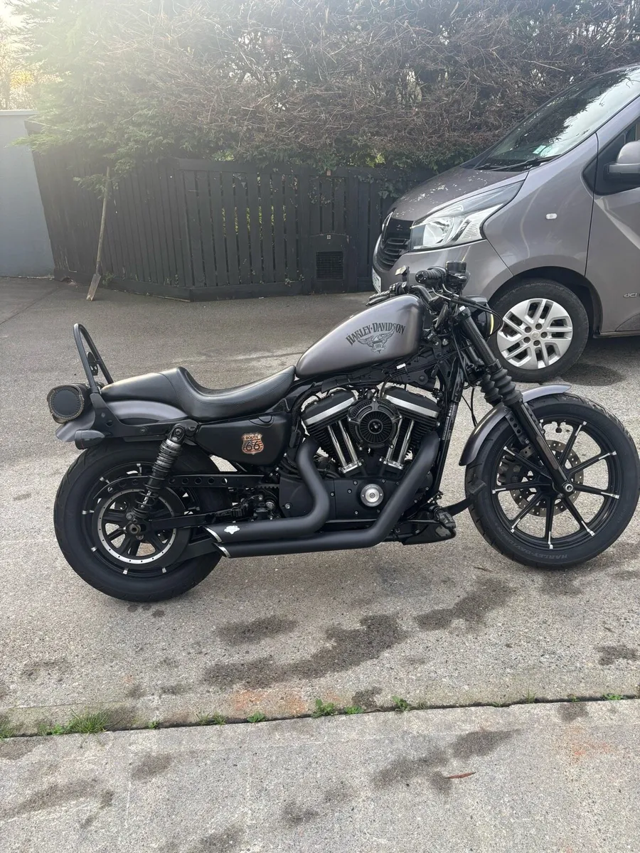 Harley Davidson sportster 883 iron - Image 2