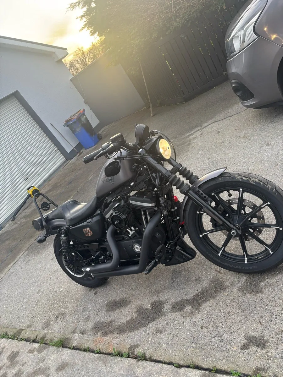 Harley Davidson sportster 883 iron - Image 3