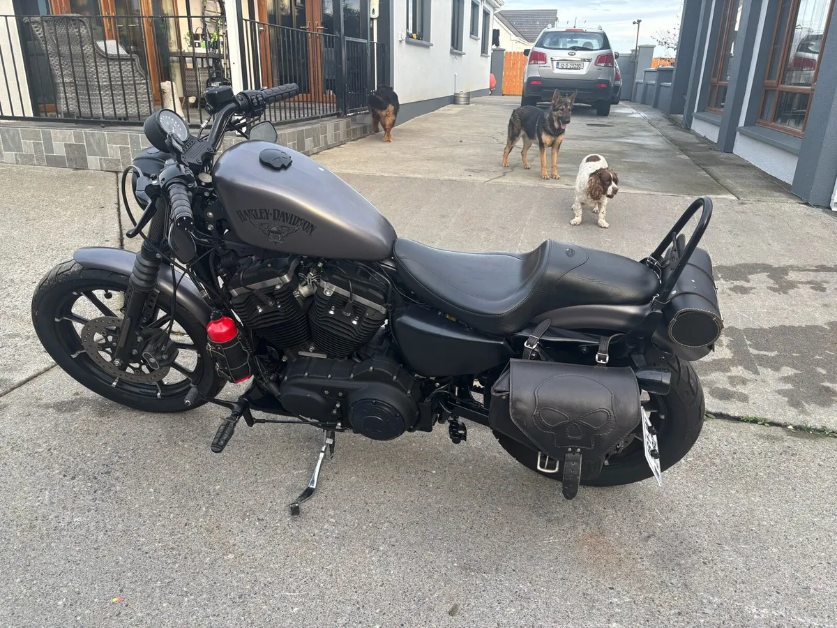 Harley Davidson sportster 883 iron - Image 4