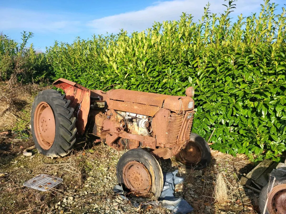 Massey 65 mk2 - Image 1