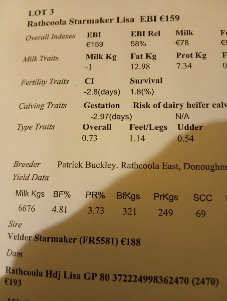 Empty cows - Image 2