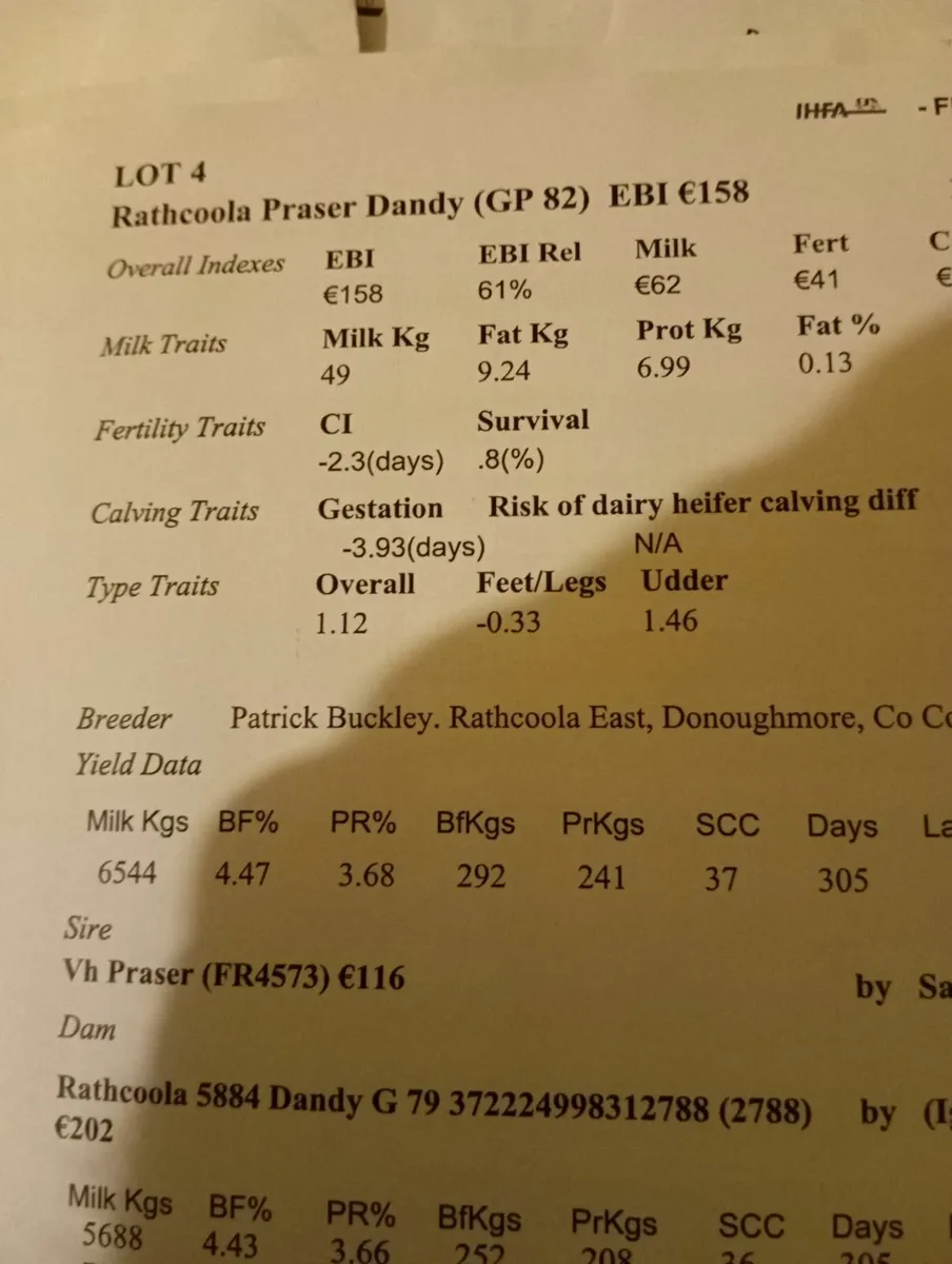 Empty cows - Image 3