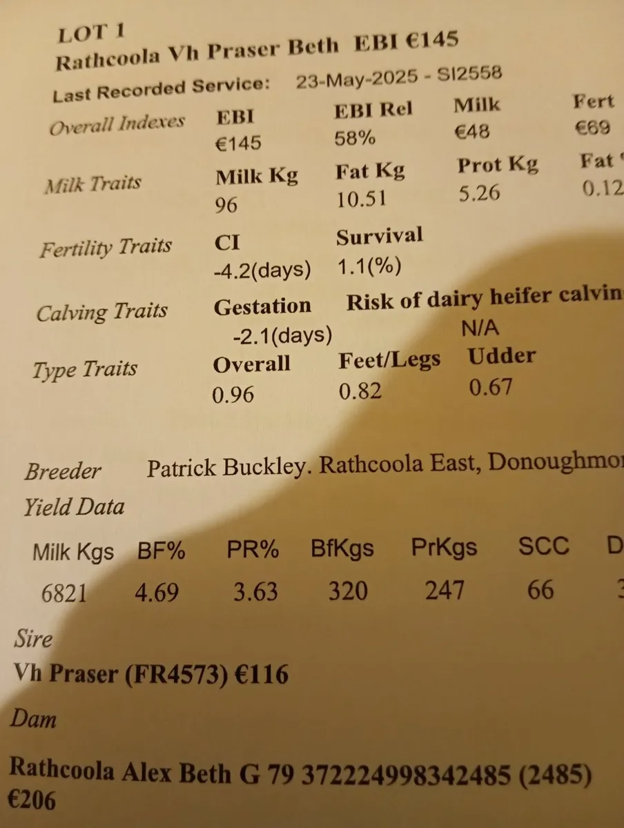 Empty cows - Image 4