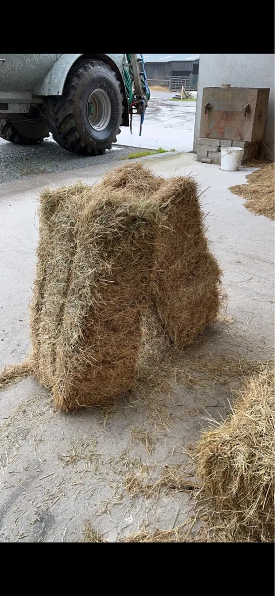 Small square bales of straw - Image 1