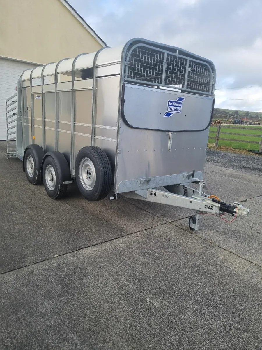 New Ifor Williams 12ft x 6ft Cattle Trailer - Image 2