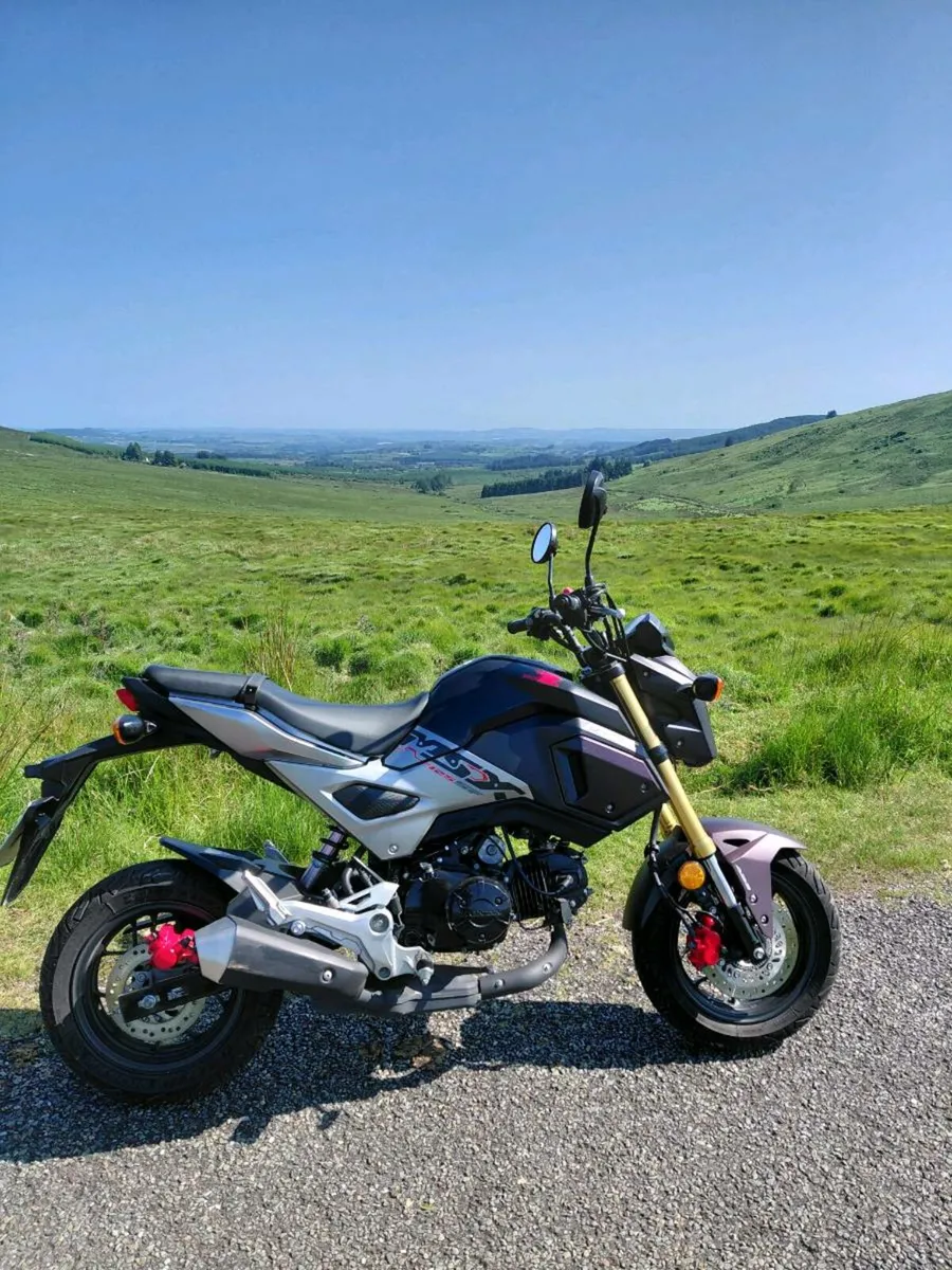 Honda Grom Msx - Image 2