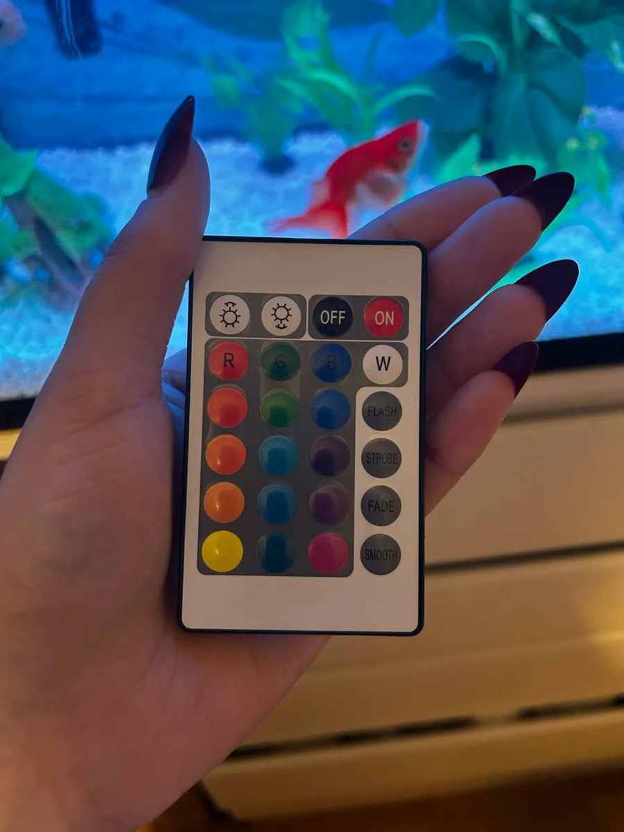 120L Fish Tank Setup + 5 Fancy Goldfish - Image 4