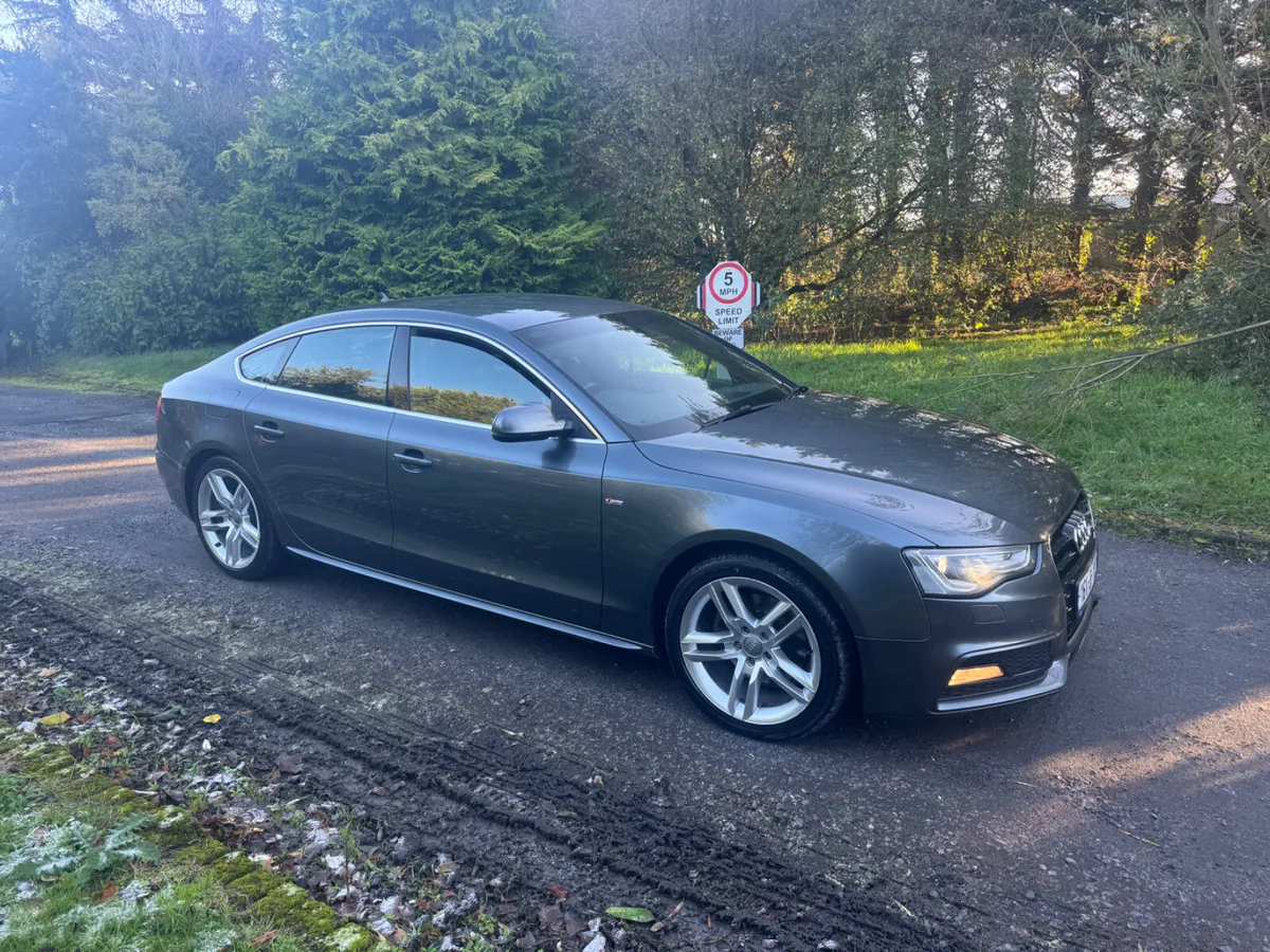 16 Audi A5 2.0TDI S-LINE - Image 1
