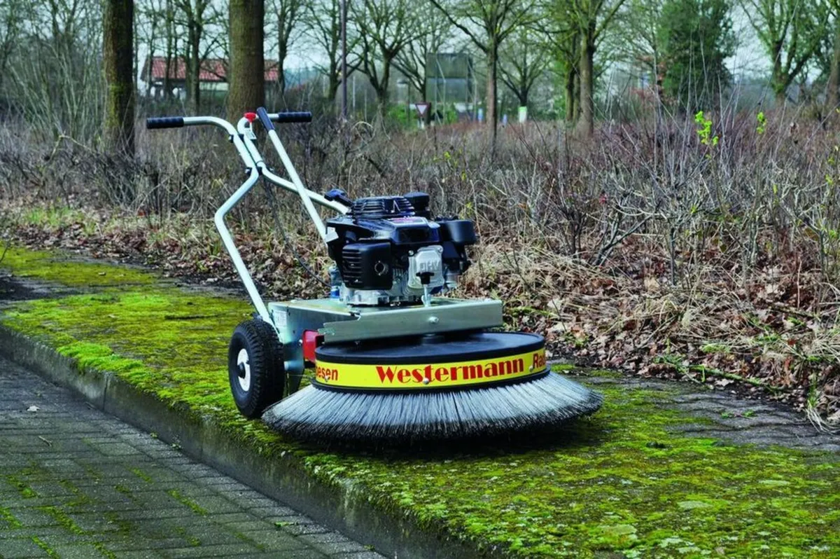 Westermann Moss Brush - Image 4