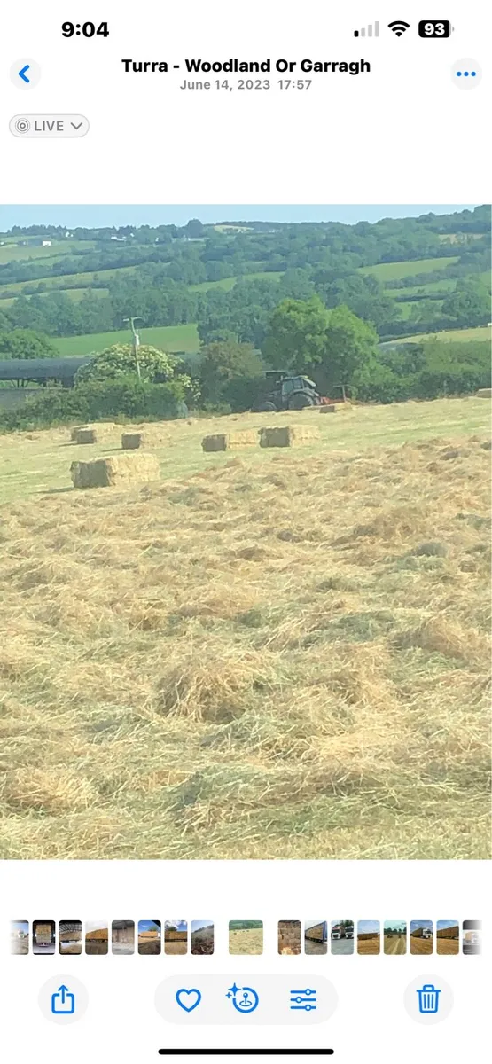 Hay and straw - Image 4