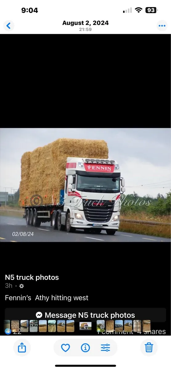 Hay and straw - Image 1