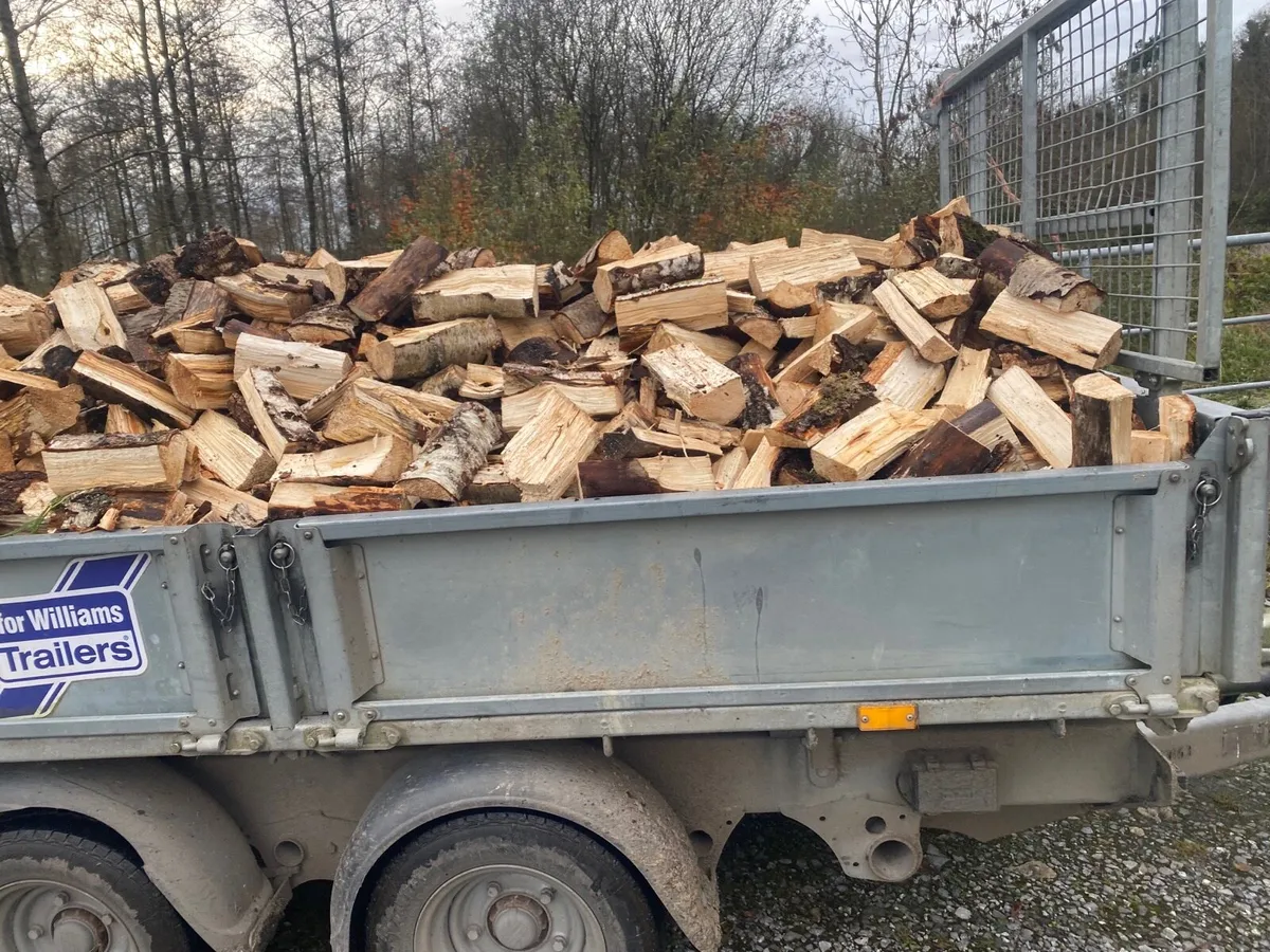 Firewood - Image 2