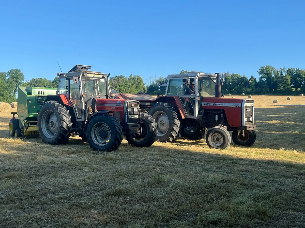 Meath hay for sale - Image 2