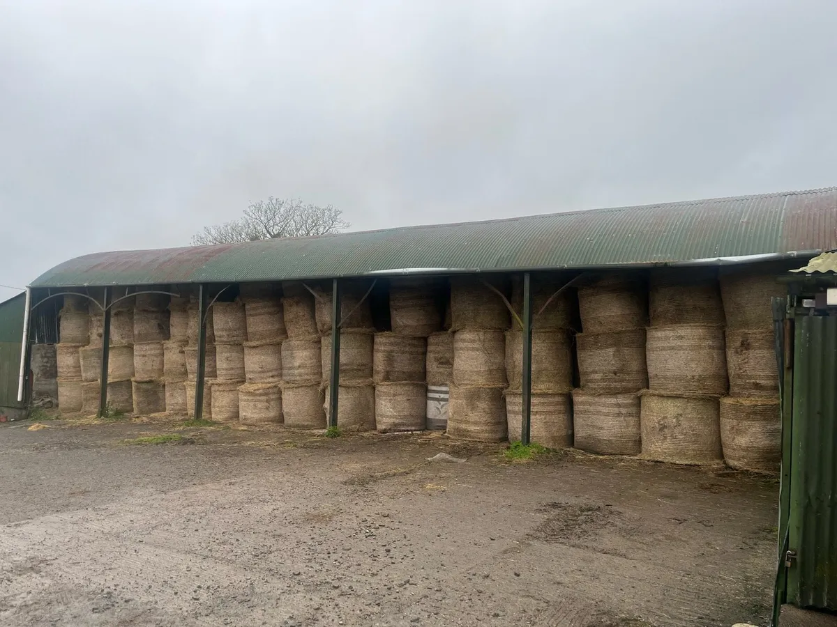 Meath hay for sale - Image 3