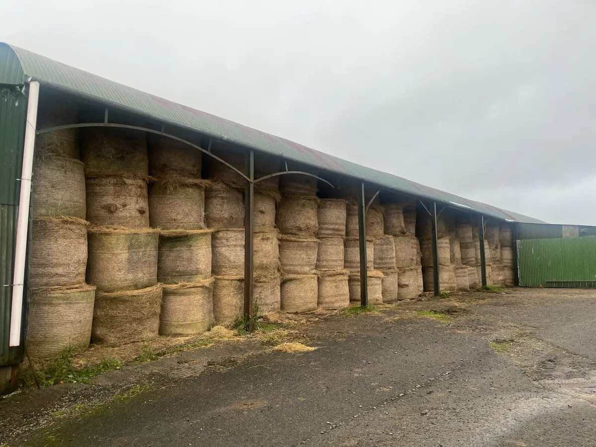 Meath hay for sale - Image 4