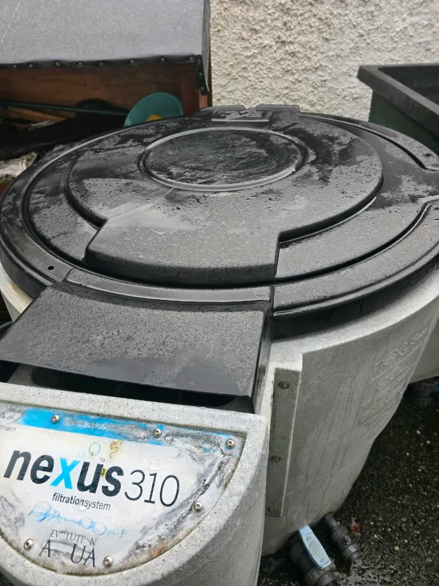 Koi fish and pond equipment - Image 1