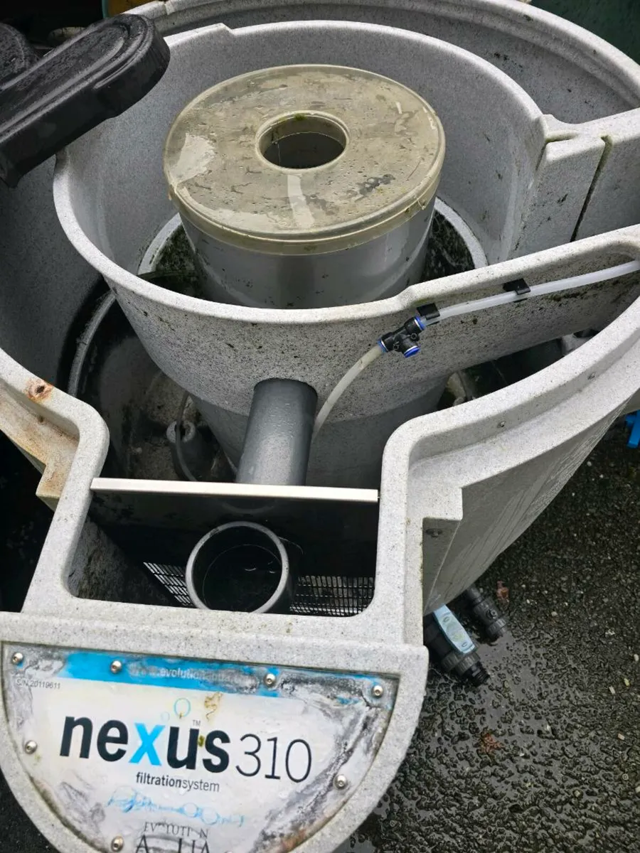 Koi fish and pond equipment - Image 2