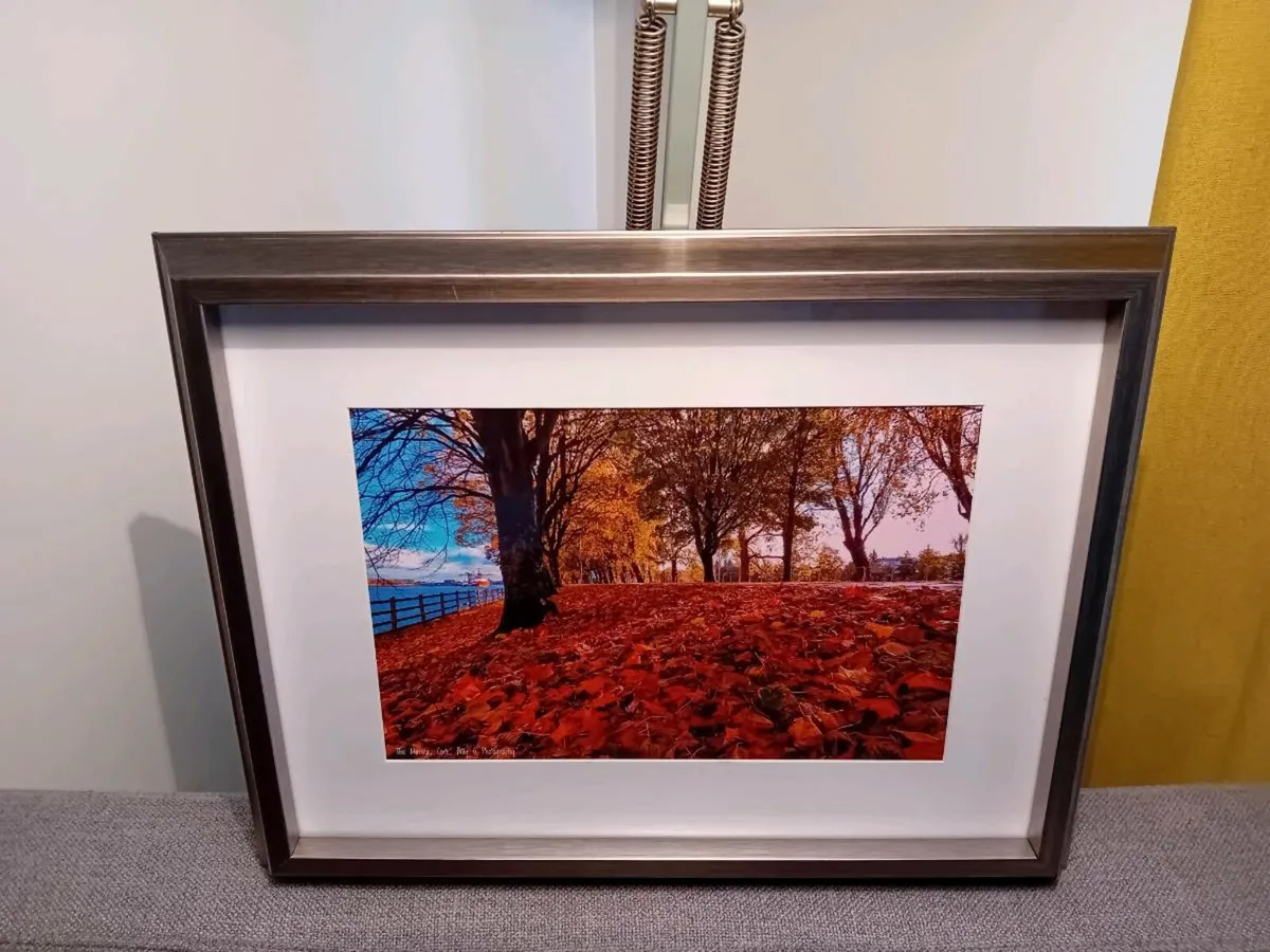 The Marina, Cork - Image 3