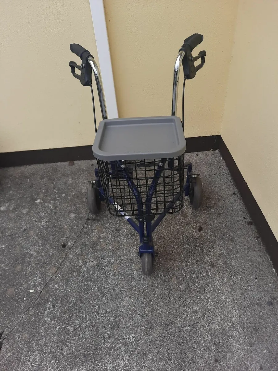 Walking aid - Image 1