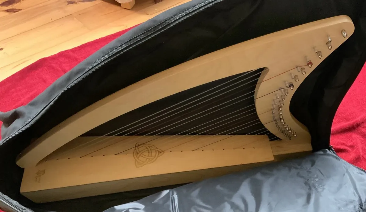 Beginner Harp 20 strings (Derwent Adventurer) - Image 4