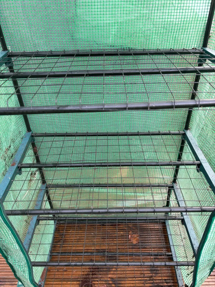 Greenhouse - Image 3