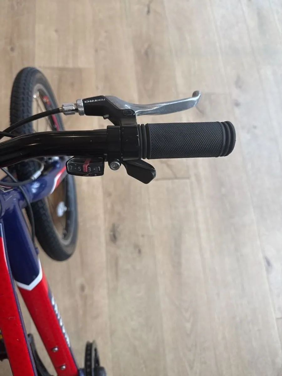 Kid's Bike Wiggins Chartres 20 - Image 4