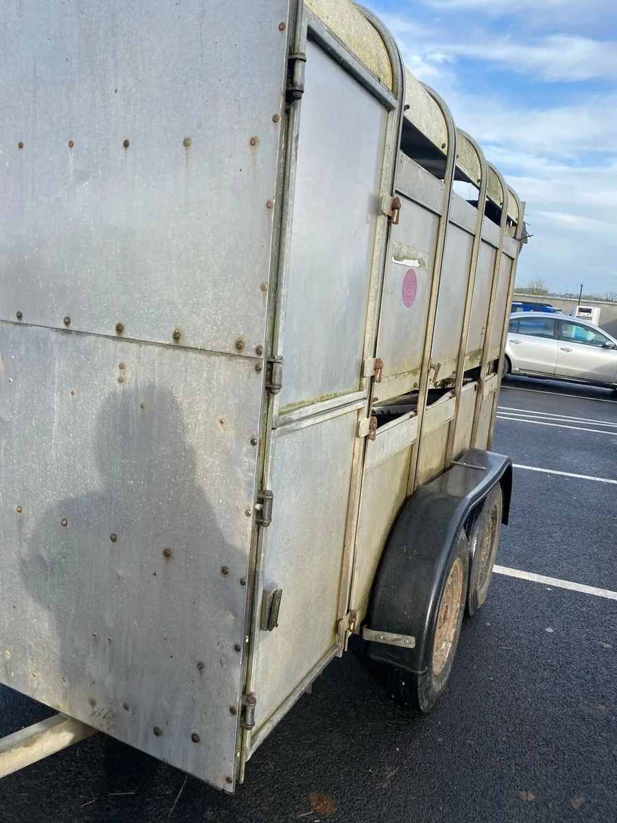Ifor William trailer 10/5 - Image 1
