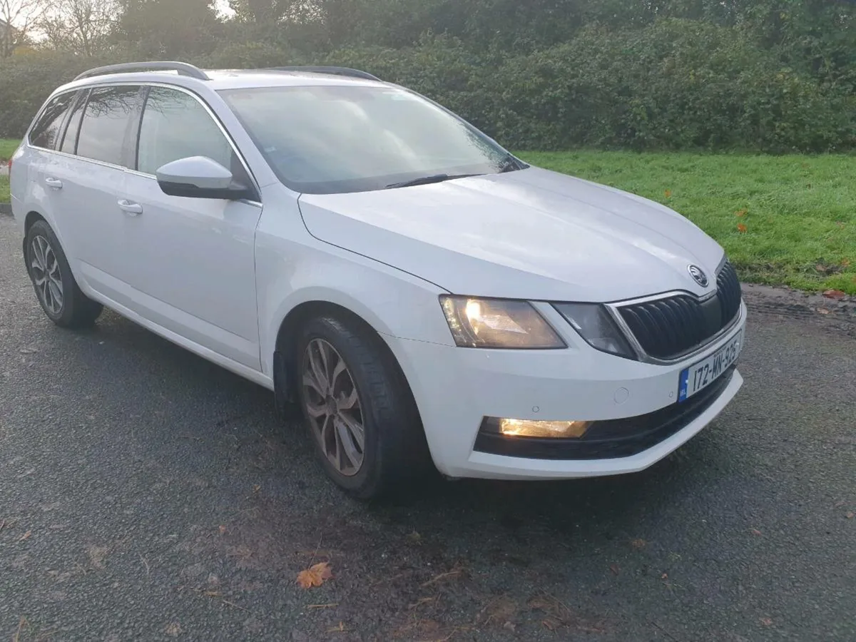 172 Skoda Octiva Estate 1.6 TDI SE TECH - Image 1
