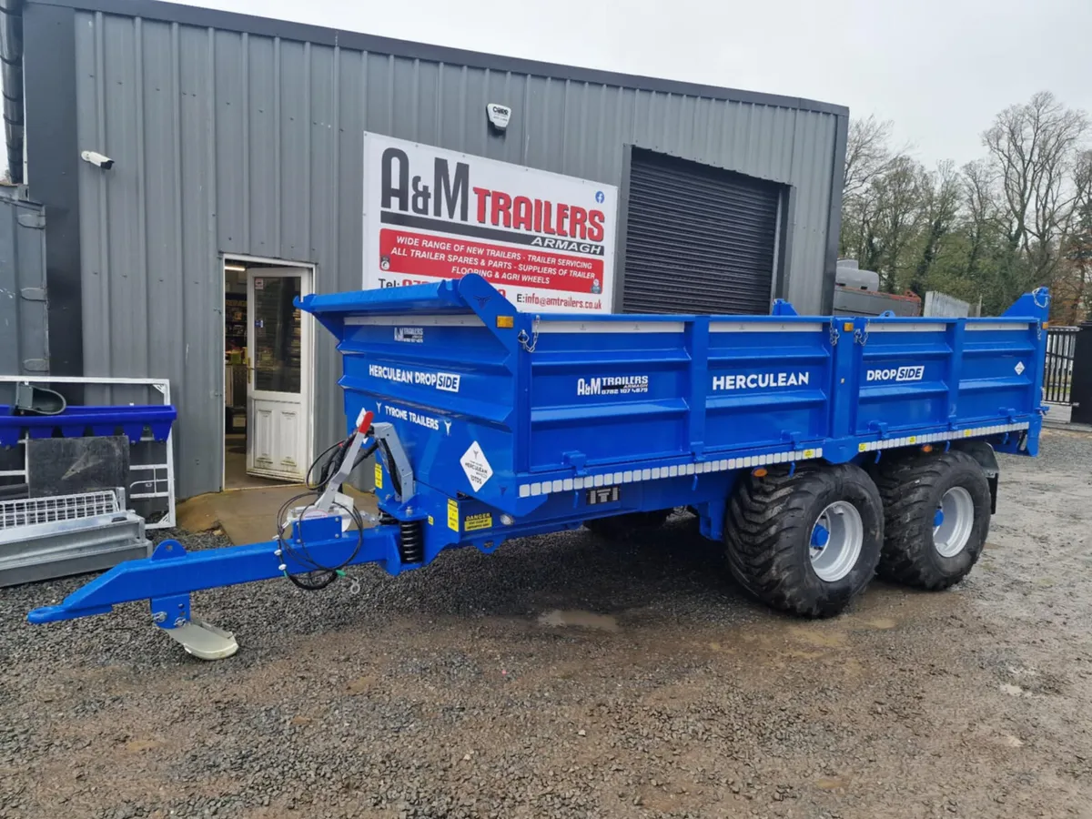 Tyrone Trailers 10 ton tipper trailer - Image 2