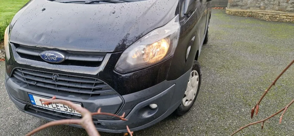 Transit custom - Image 2