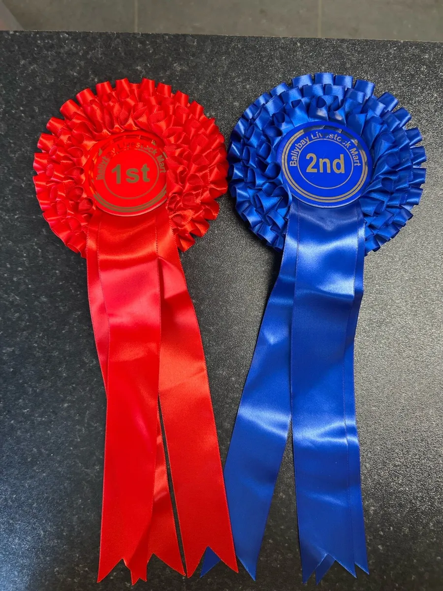 Ballybay Mart Dairy Show & Sale 26th November - Image 1