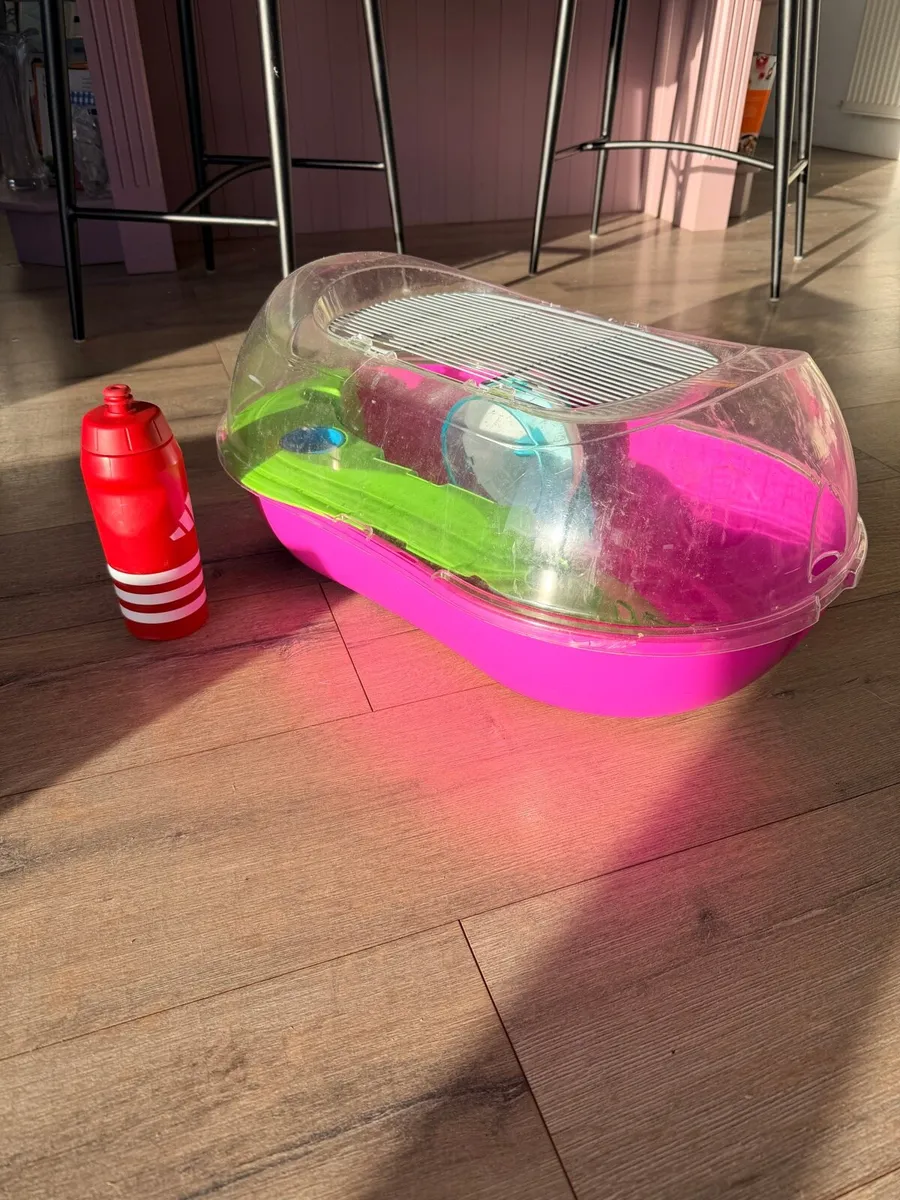 Hamster House - Image 1