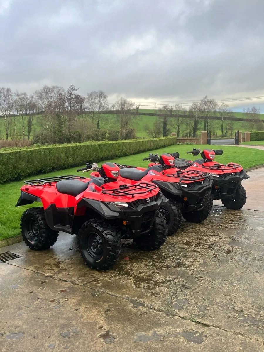 Suzuki Kingquad 750 - Image 2