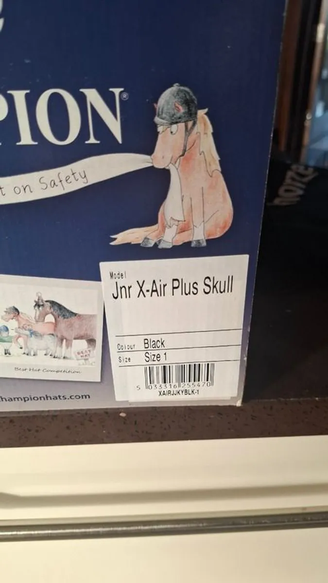 Horse riding Helmet, Boots and body protector - Image 2