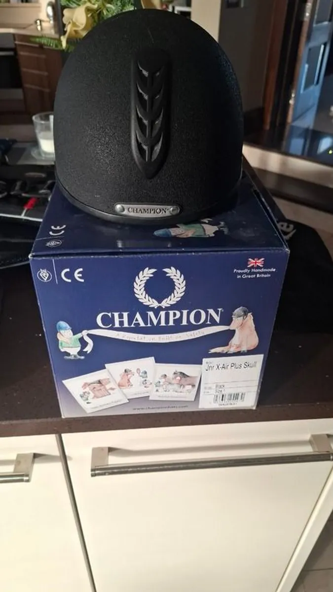 Horse riding Helmet, Boots and body protector - Image 3