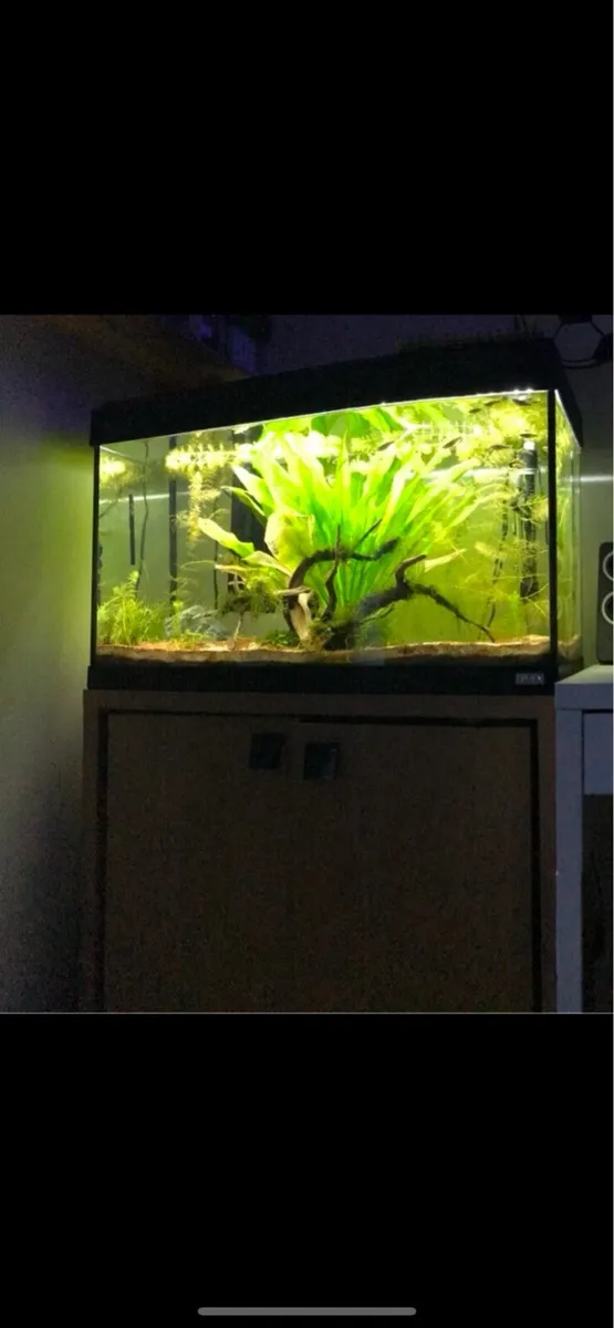 Fluval 123 Litre Fish Tank + Cabinet - Image 4