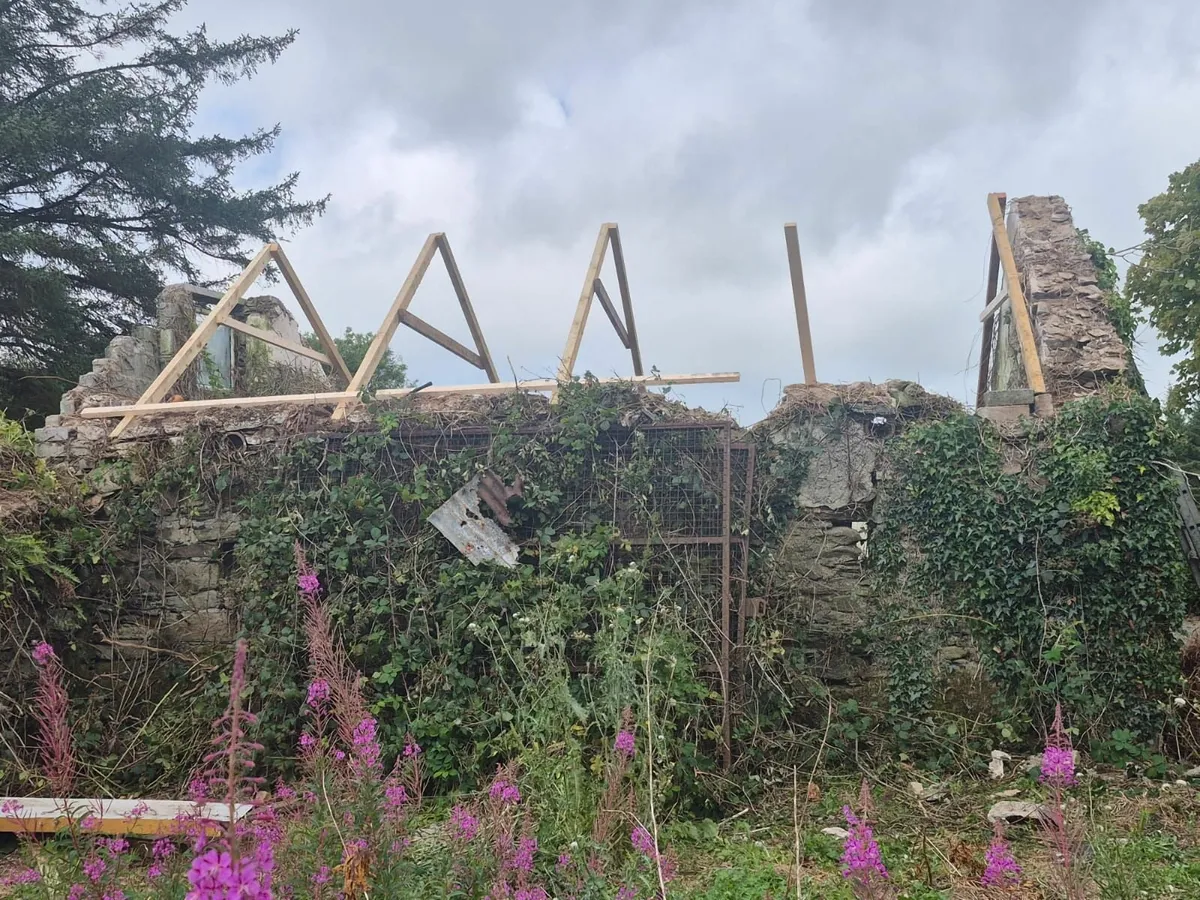 Farm Shed Repairs - Image 3