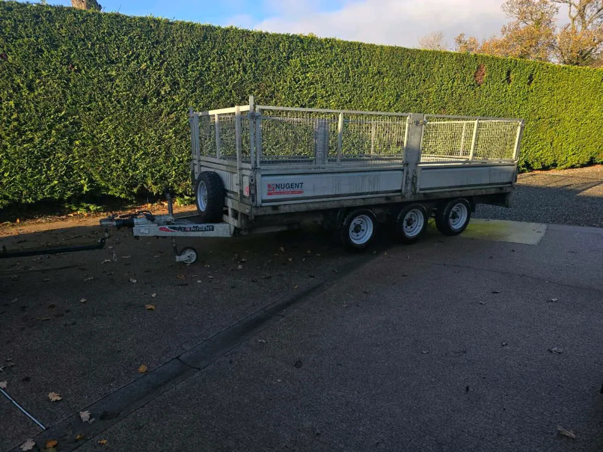 Nugent 14ft tri axle dropside trailer meshsides - Image 1