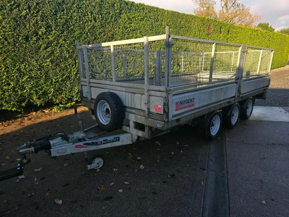 Nugent 14ft tri axle dropside trailer meshsides - Image 2