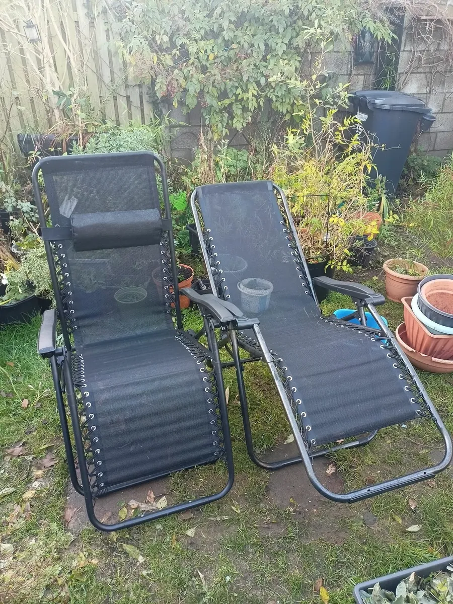 Garden loungers pair - Image 1