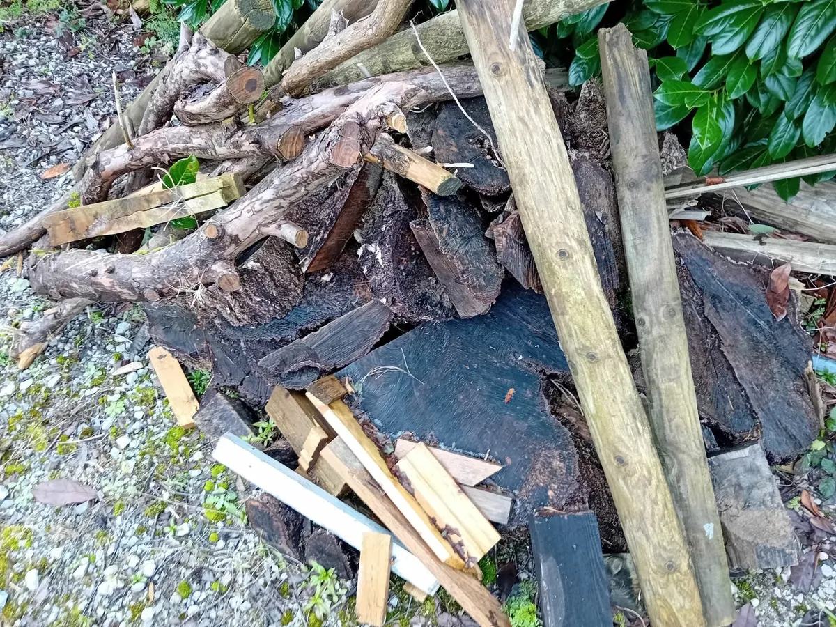Fire wood - Image 3