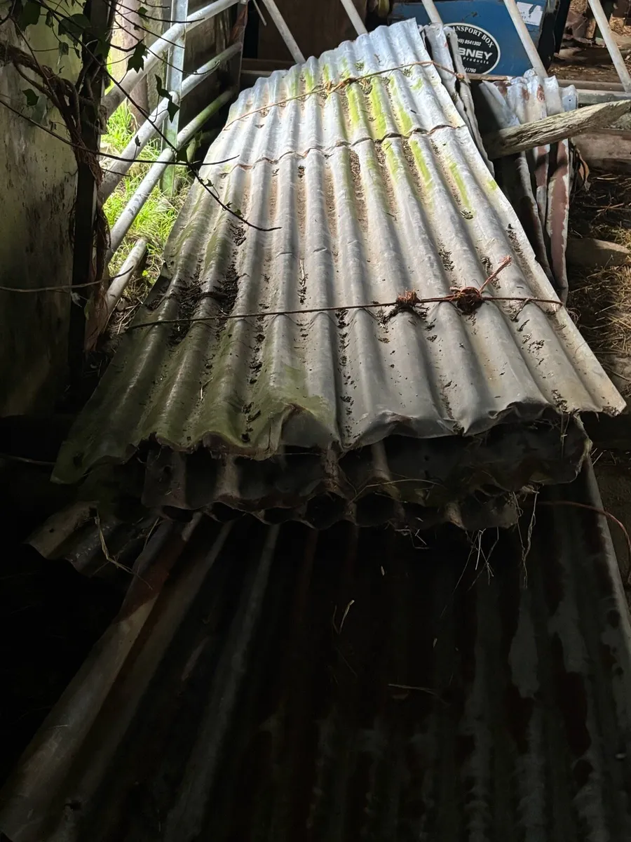 Galvanised sheeting - Image 3