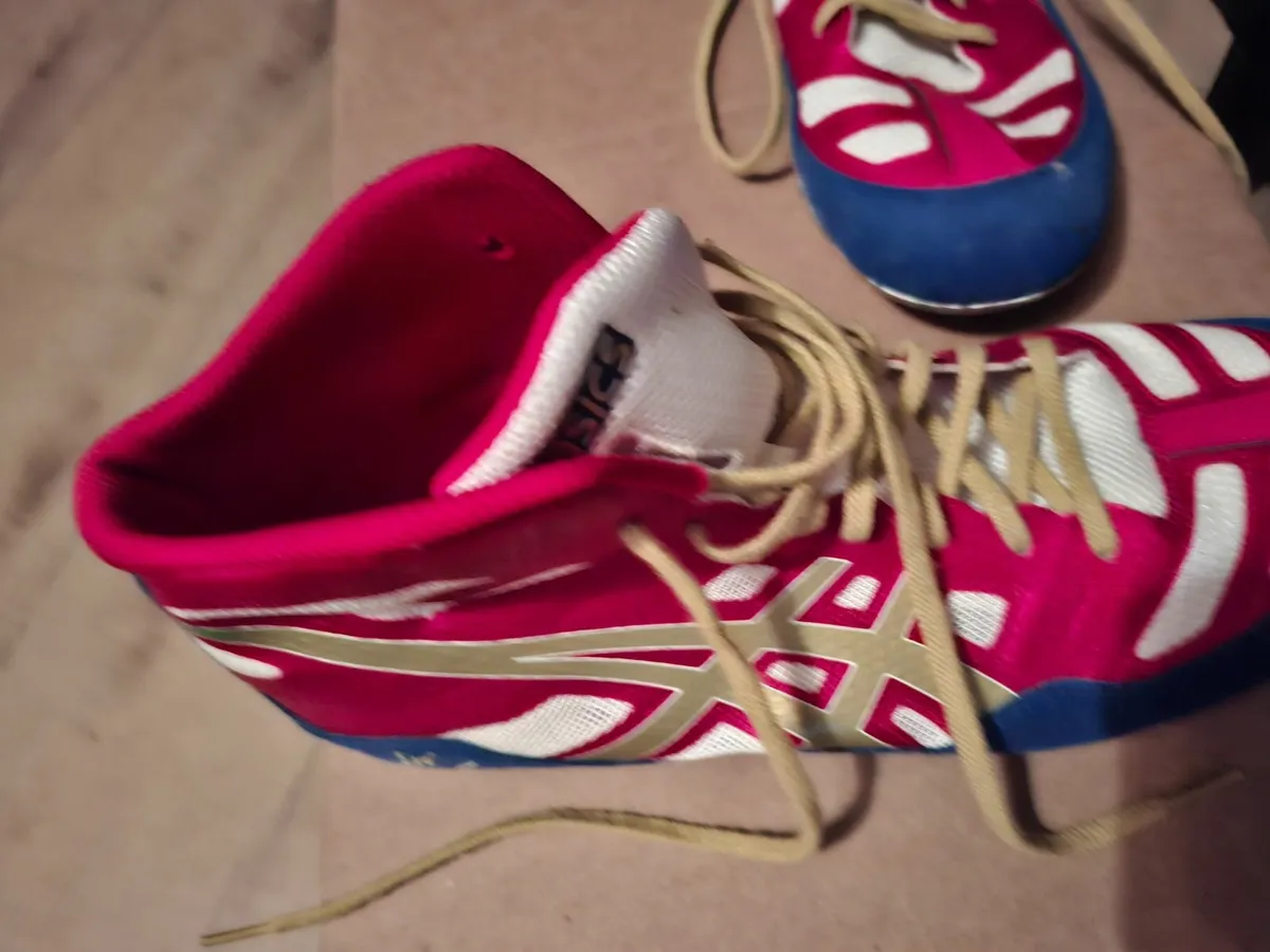 Boxing boots - Image 1