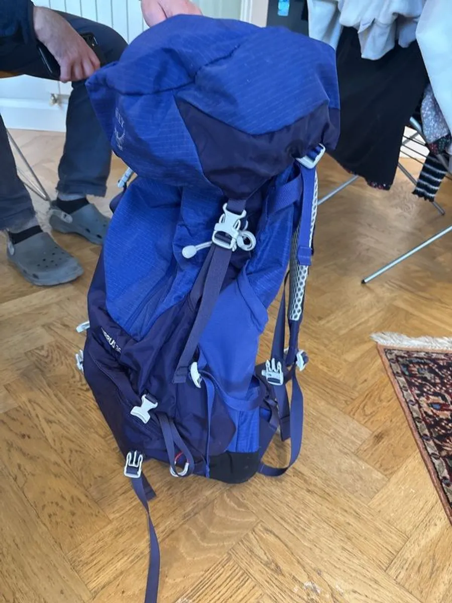 Ladies Osprey Sirrus 36 Backpack - Image 2